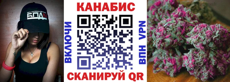 Бошки Шишки марихуана  продажа наркотиков  Дмитровск 